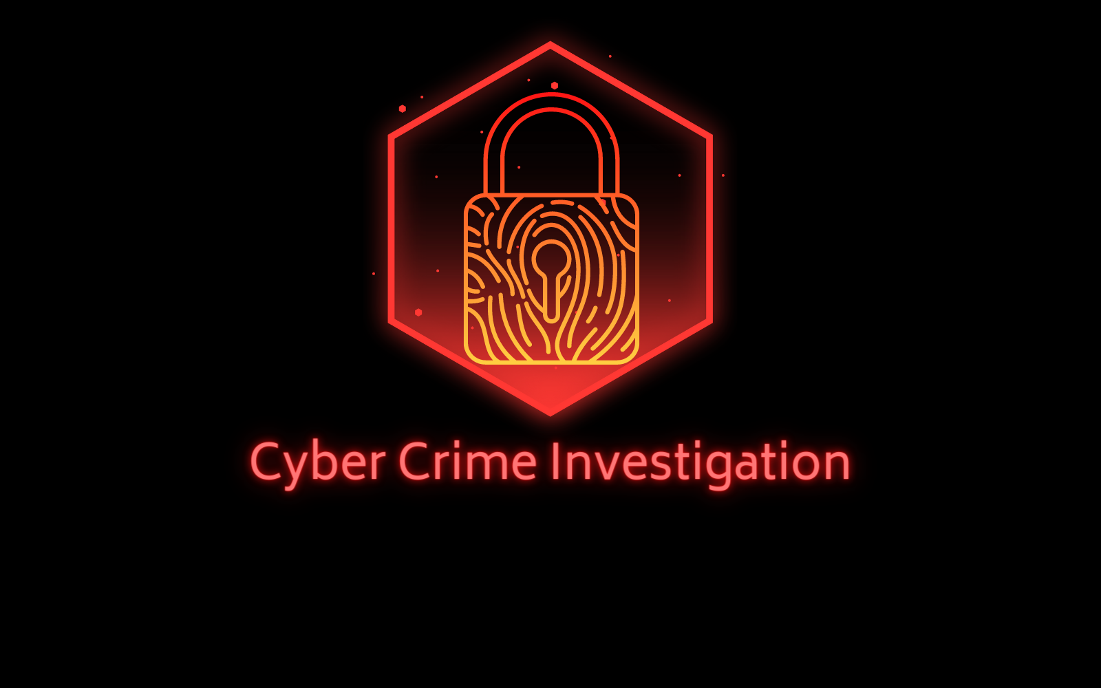 Cyber Crime Investigation